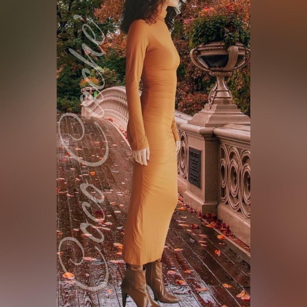 Rusty Orange Bodycon Long Sleeves Midi Sweater Dress - Picture 3 of 8